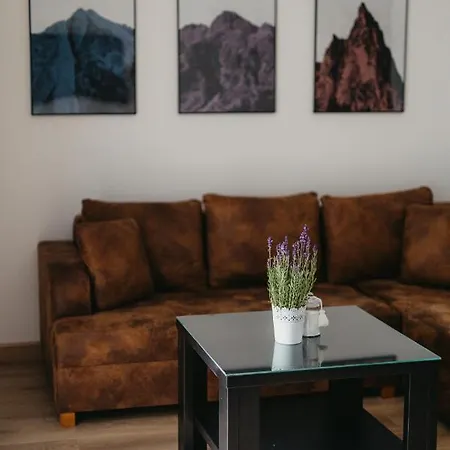 Gimnazjalna 16 Apartament Zakopane