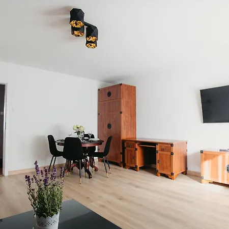 Gimnazjalna 16 Apartamento Zakopane