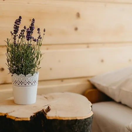 公寓 Gimnazjalna 16 *