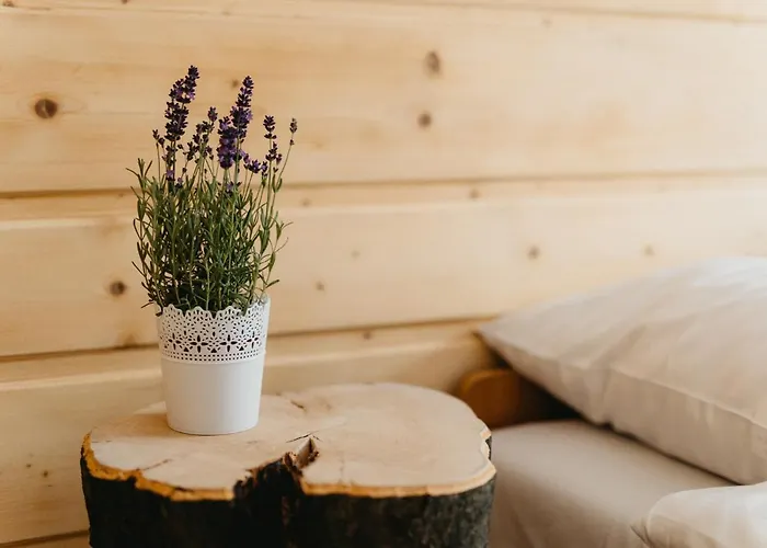 Appartement Gimnazjalna 16 *