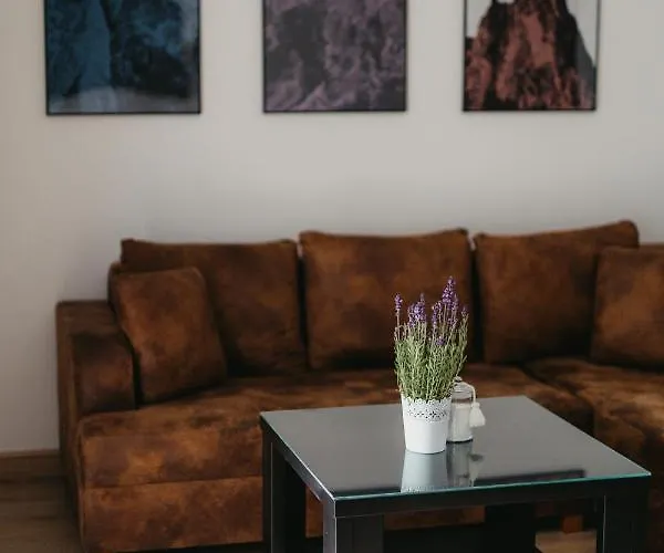 Gimnazjalna 16 アパート ザコパネ